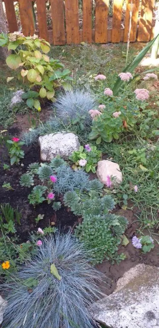 Apartment At Granny and Grandpa