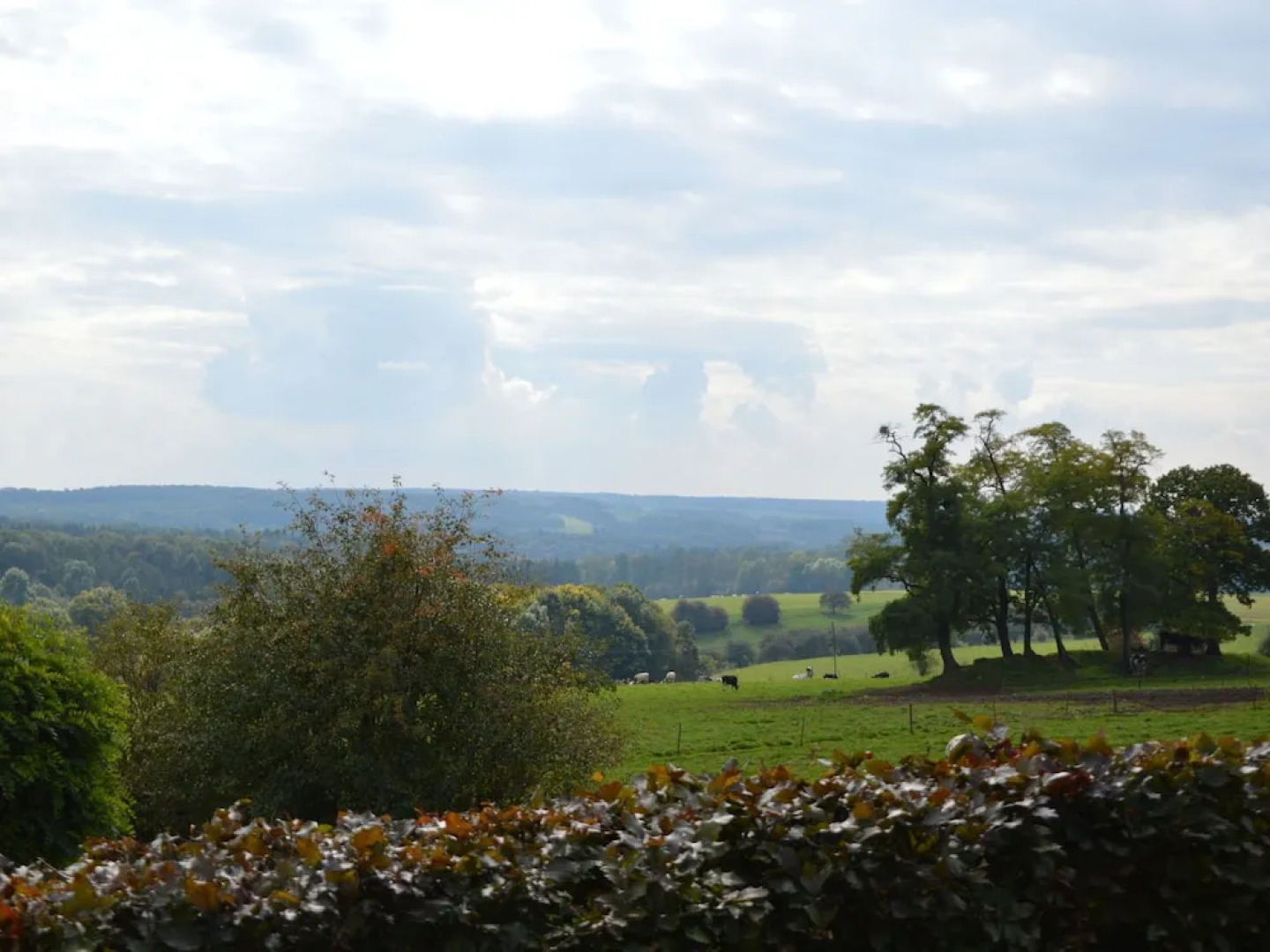 Charming Apartment with Access to Outdoor Hot Tub in Green Condroz Valley