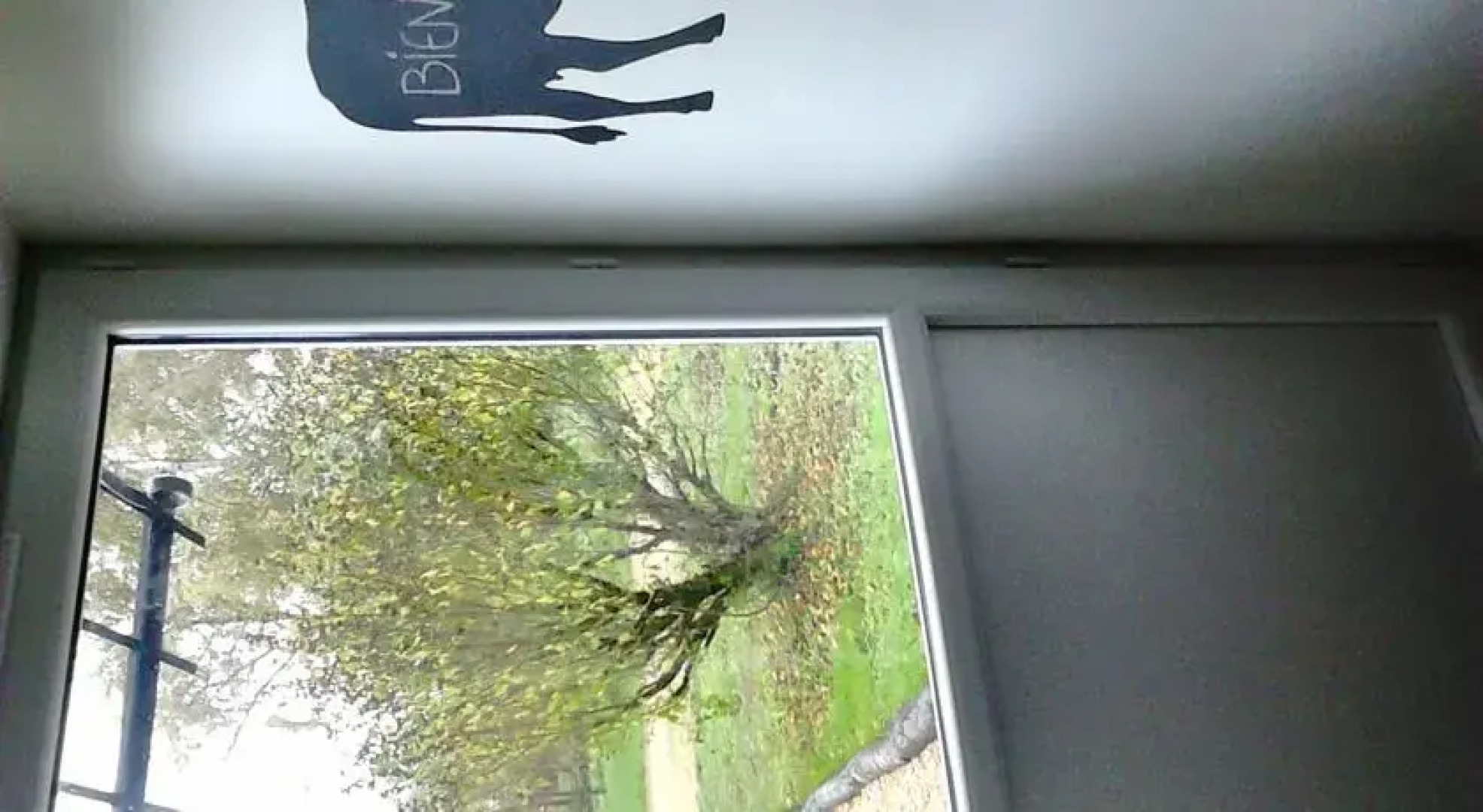 La Poule aux Oeufs Dort