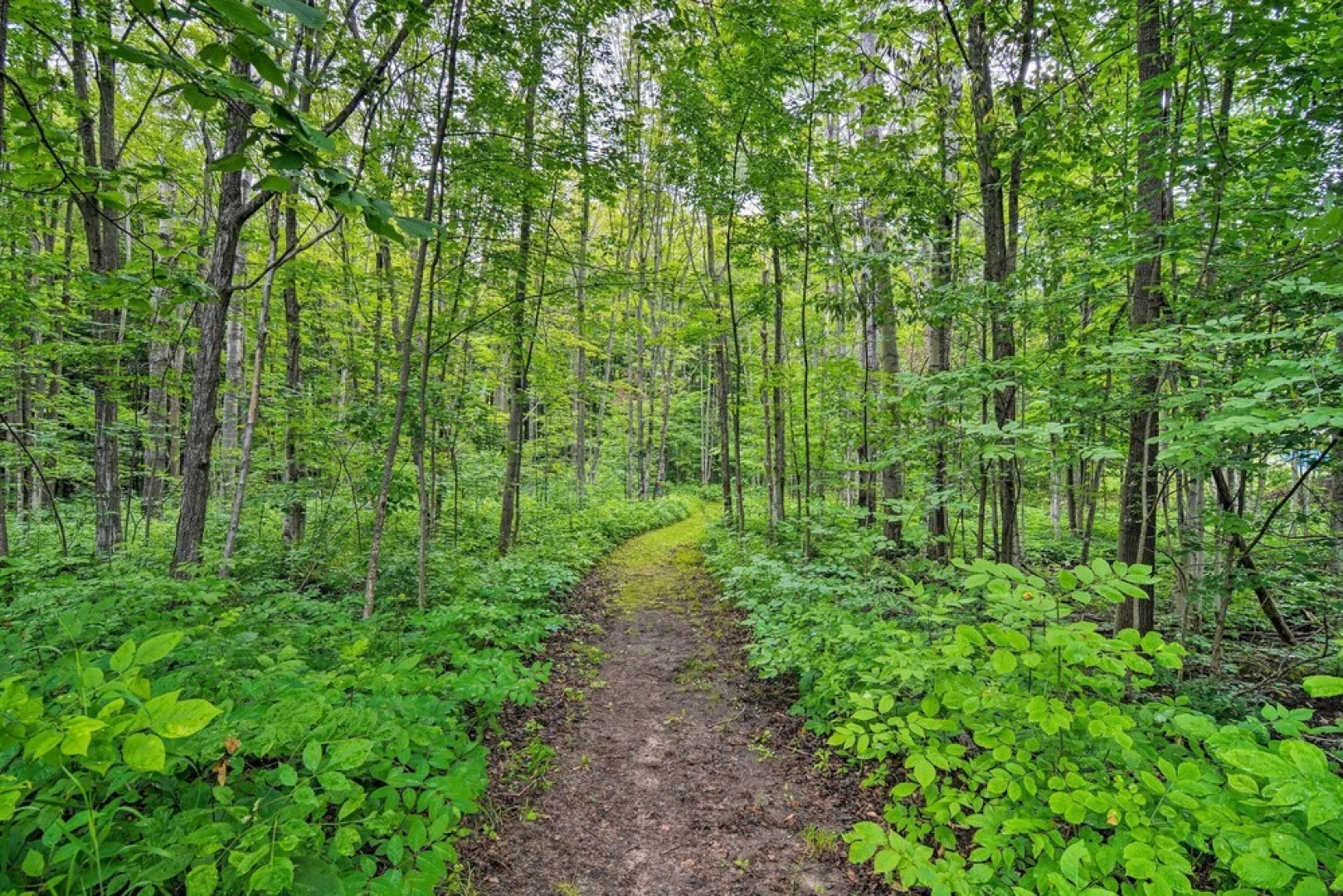 1 Mi to Nubs Nob: Pet-friendly Home w/ Hot Tub