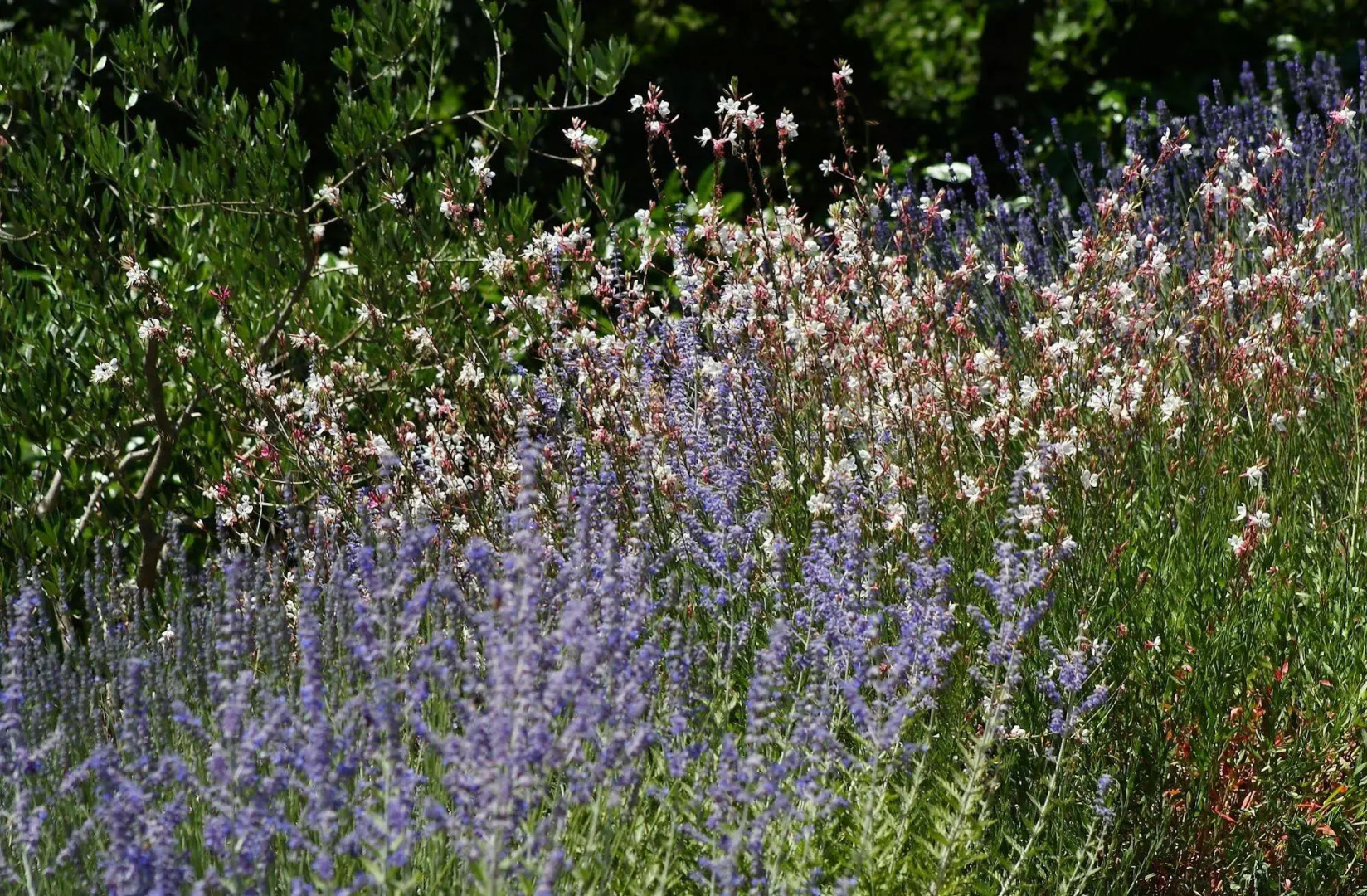 Relais L'Antico Convento