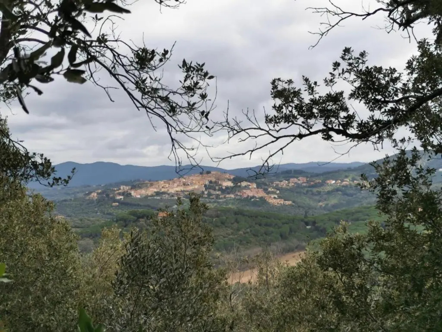 Podere Agnese App. 1 - Castagneto Carducci