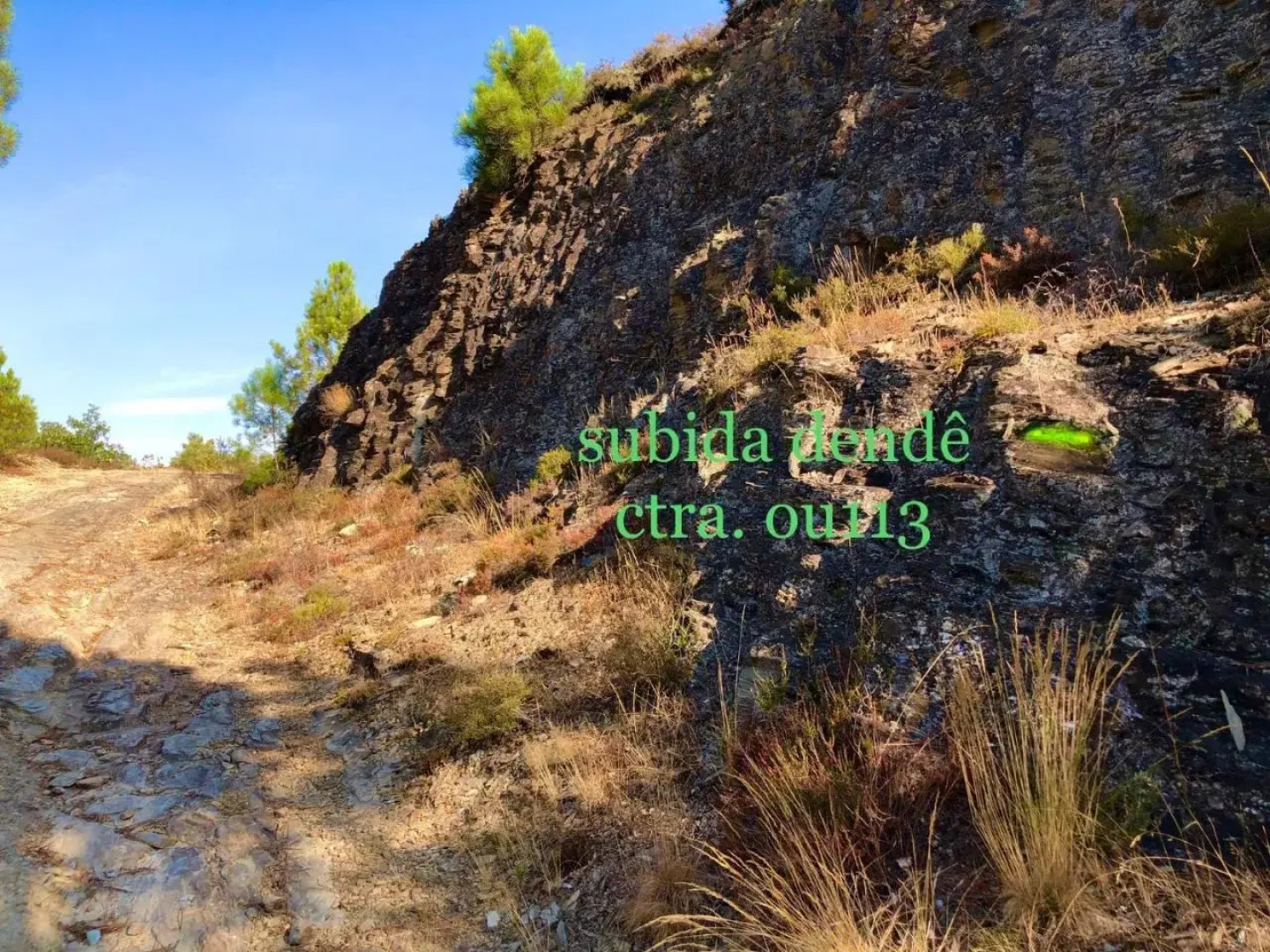 Pensión Blanco Conde