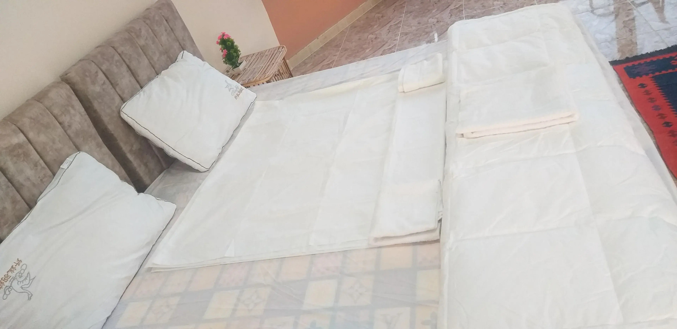 Wadi Rum Stars Hostel