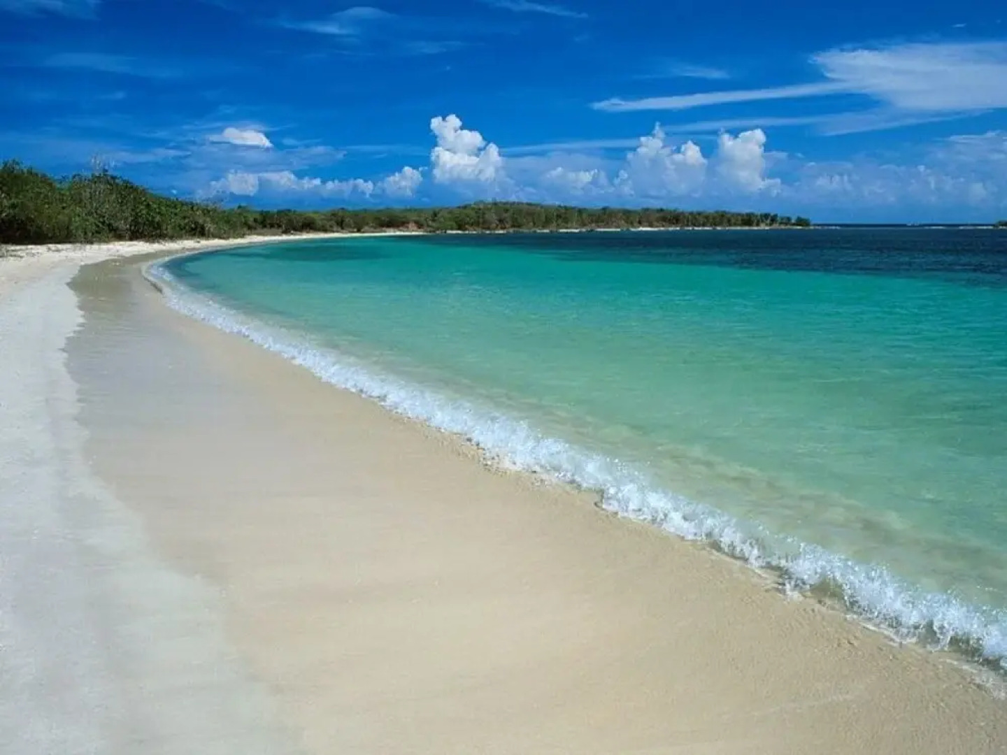 Agriturismo Agrifoglio