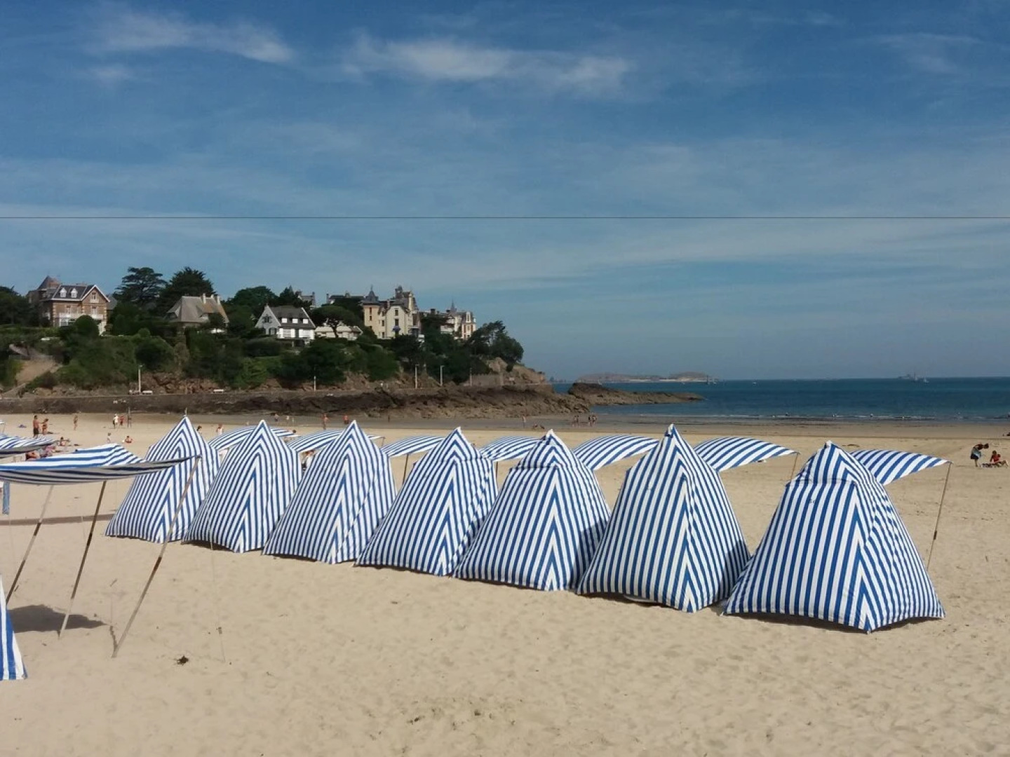 Les Oiseaux de Passage