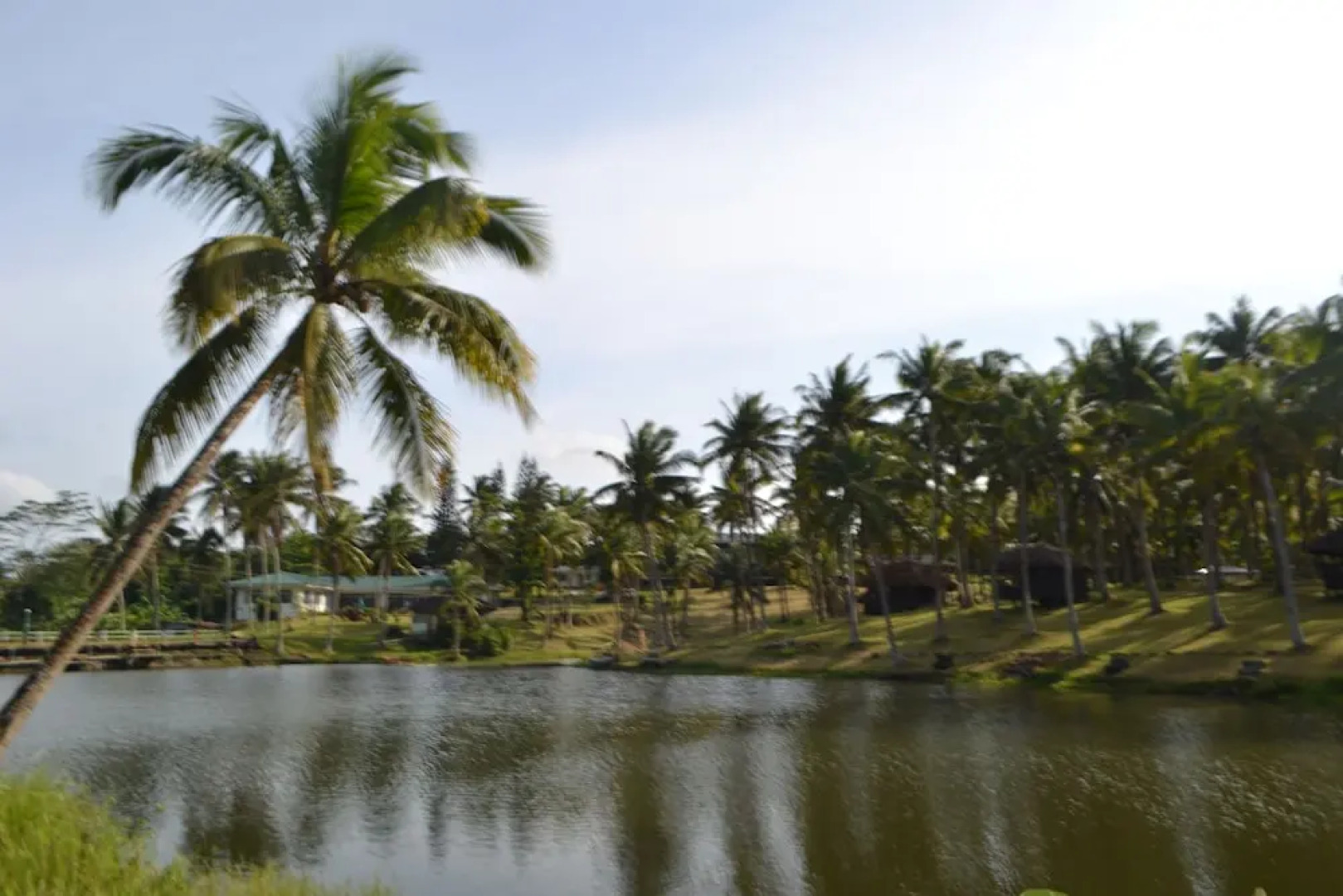 Caliraya Ecoville Recreation and Farm Resort