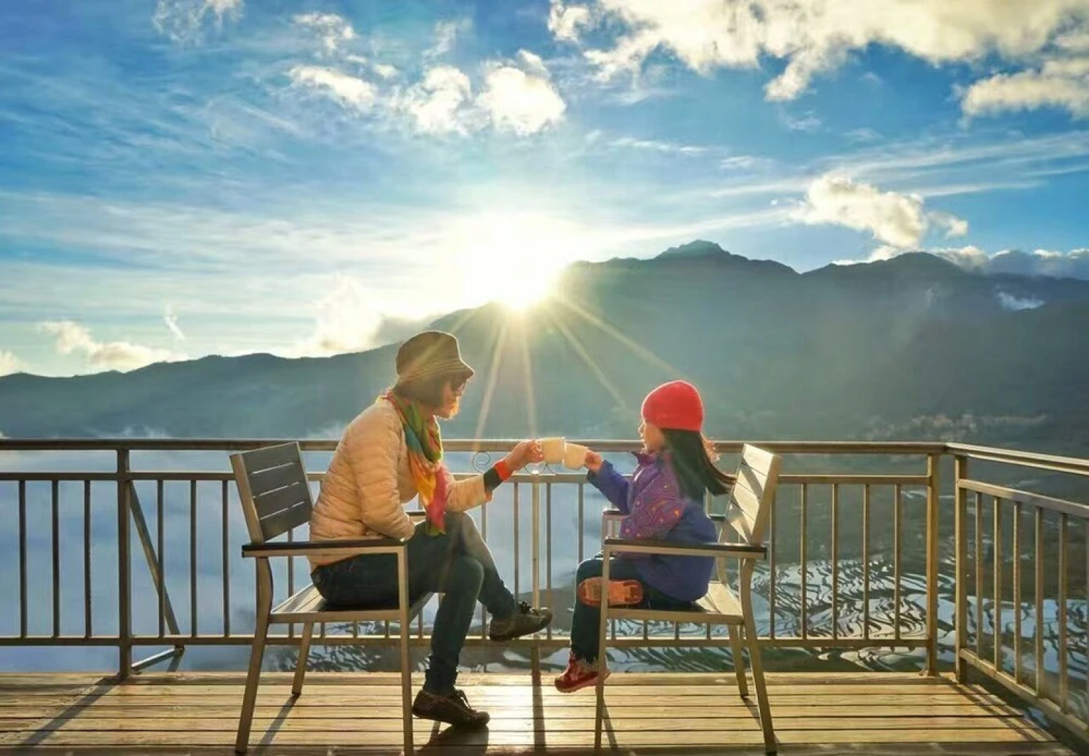 Plants and Flowers.YSTS