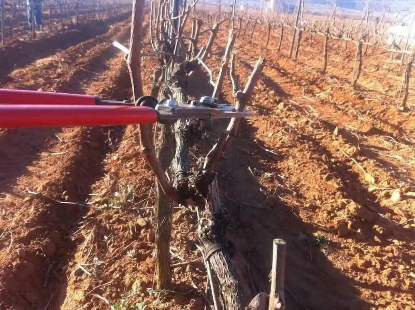 Casa Rural Magnanimus