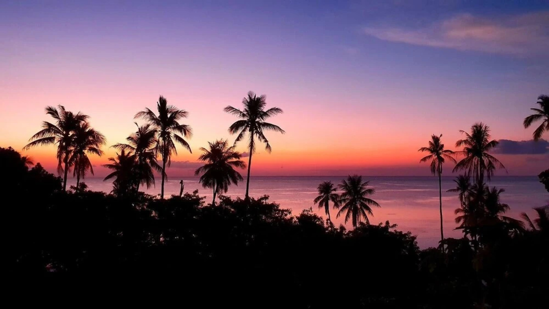 Marind Dive Eco Resort