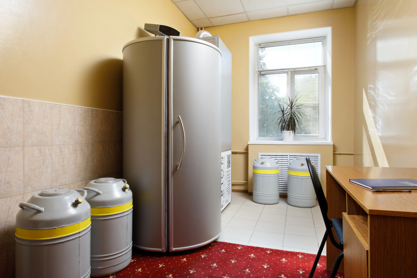 Санаторий «Шахтер» AMAKS