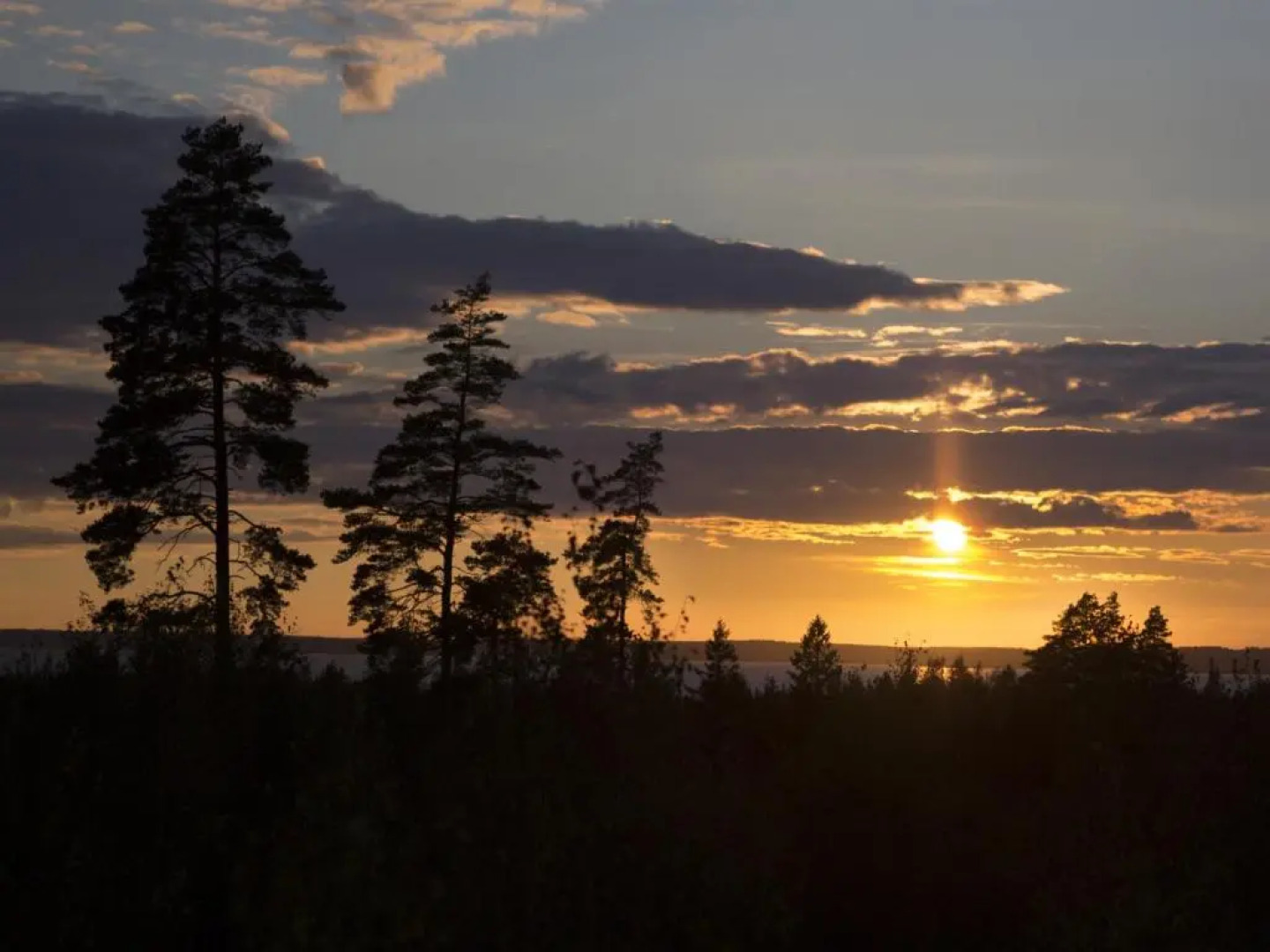 Hamgården Nature Resort Tiveden