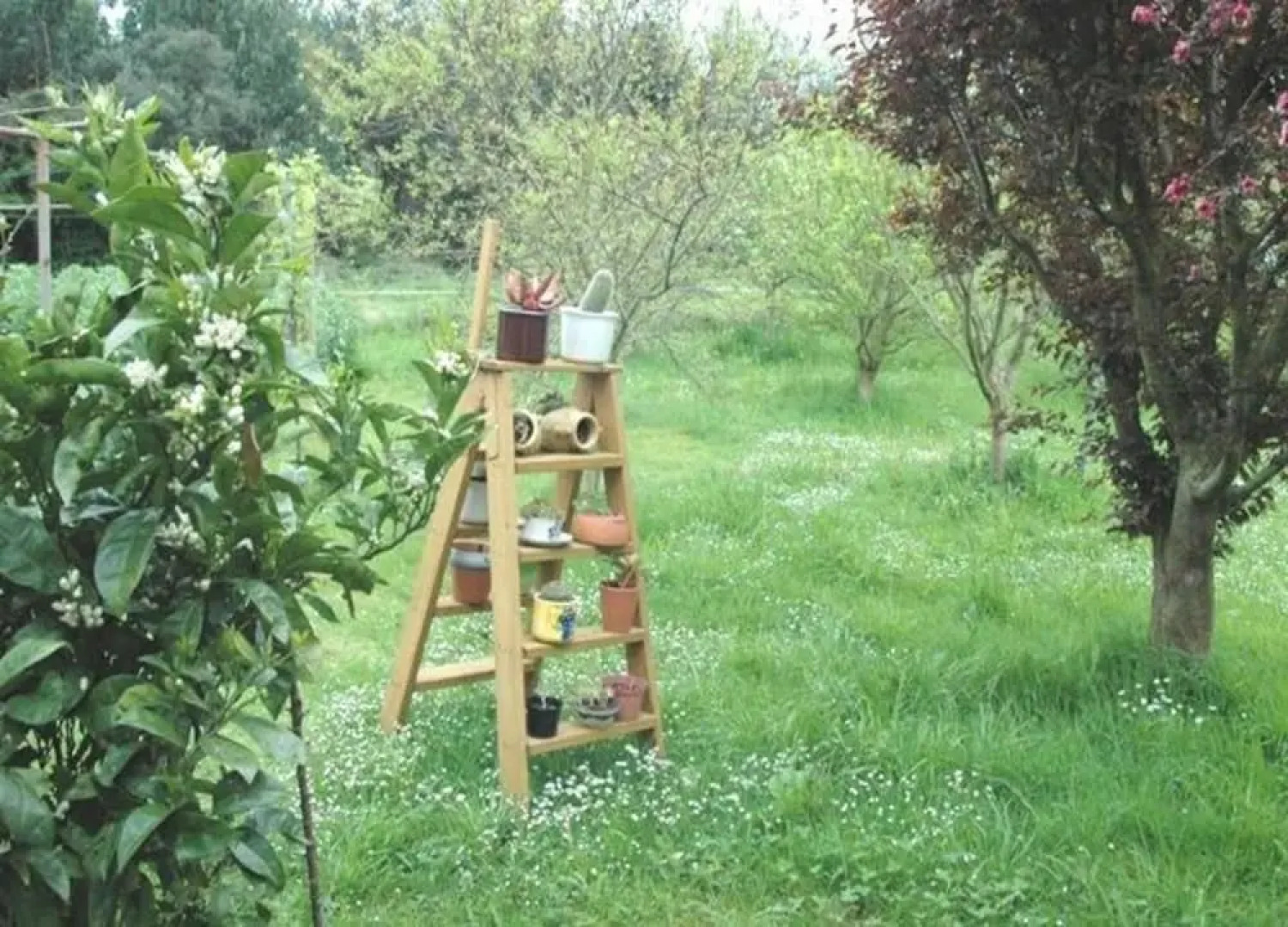 House in Noja, Cantabria 102948 by MO Rentals