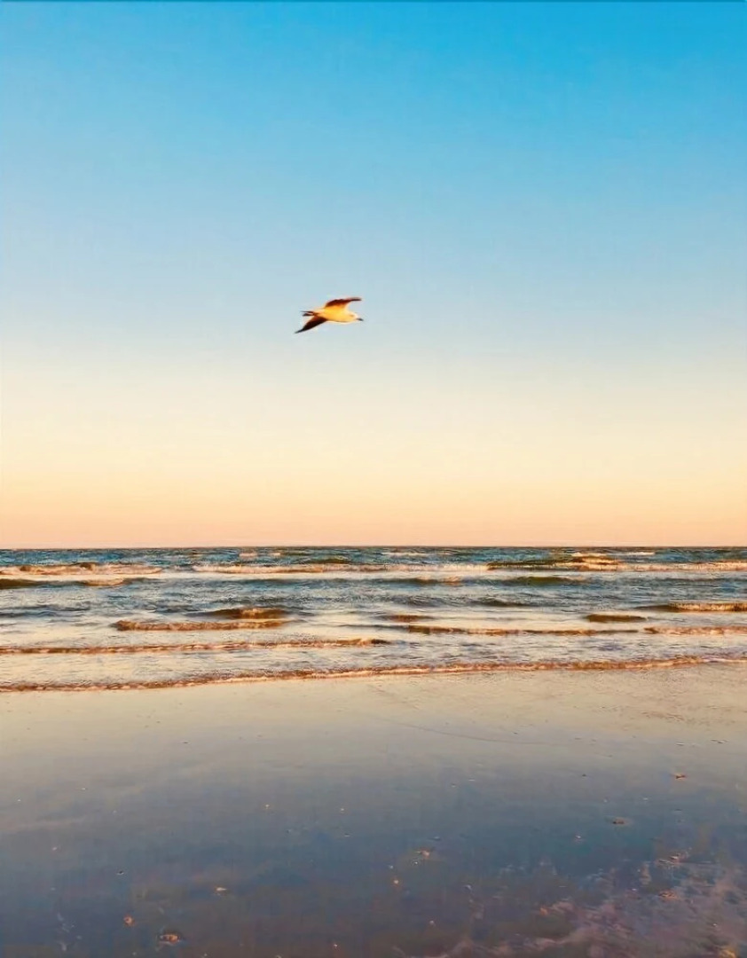 Serenity By The Sea 3 Bedroom Home