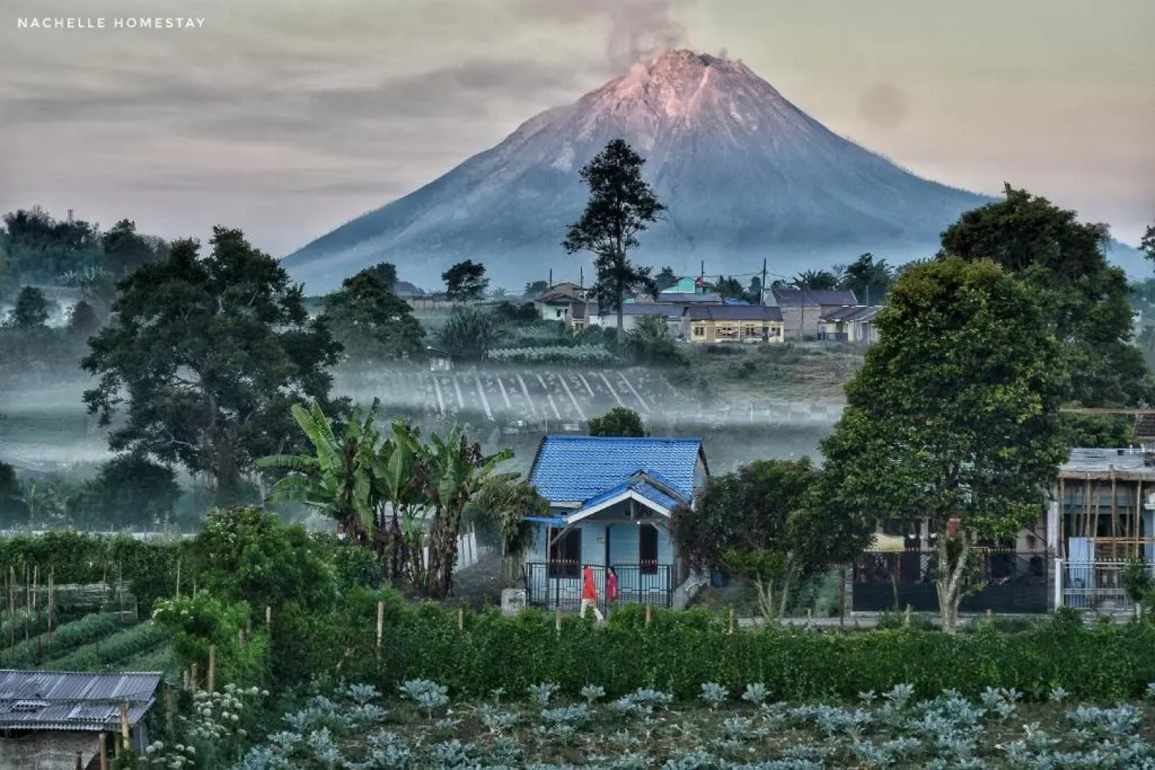 Berastagi Nachelle Homestay