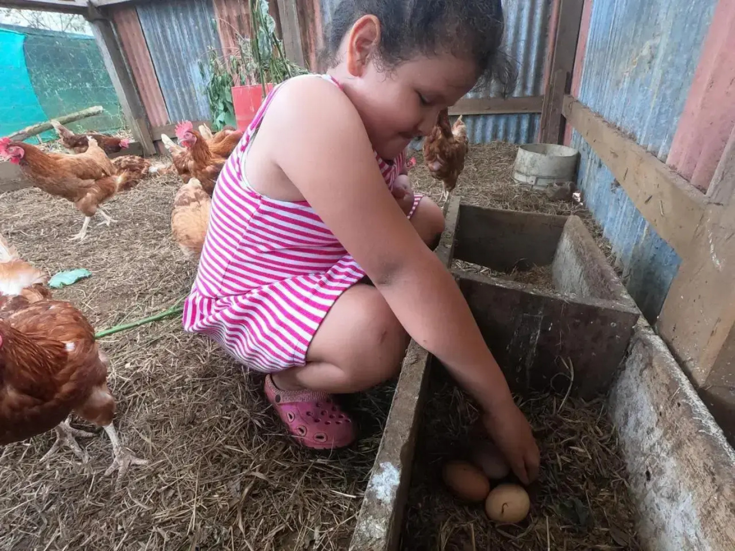 Wendy´s Eco Guest House - Sarapiquí