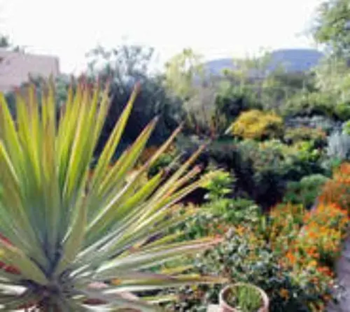 Auberge des Cascades