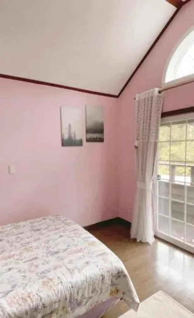 Mayfair Rodem Tree Shelter