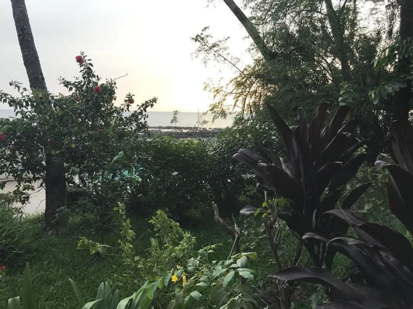 Pension Les Palmiers