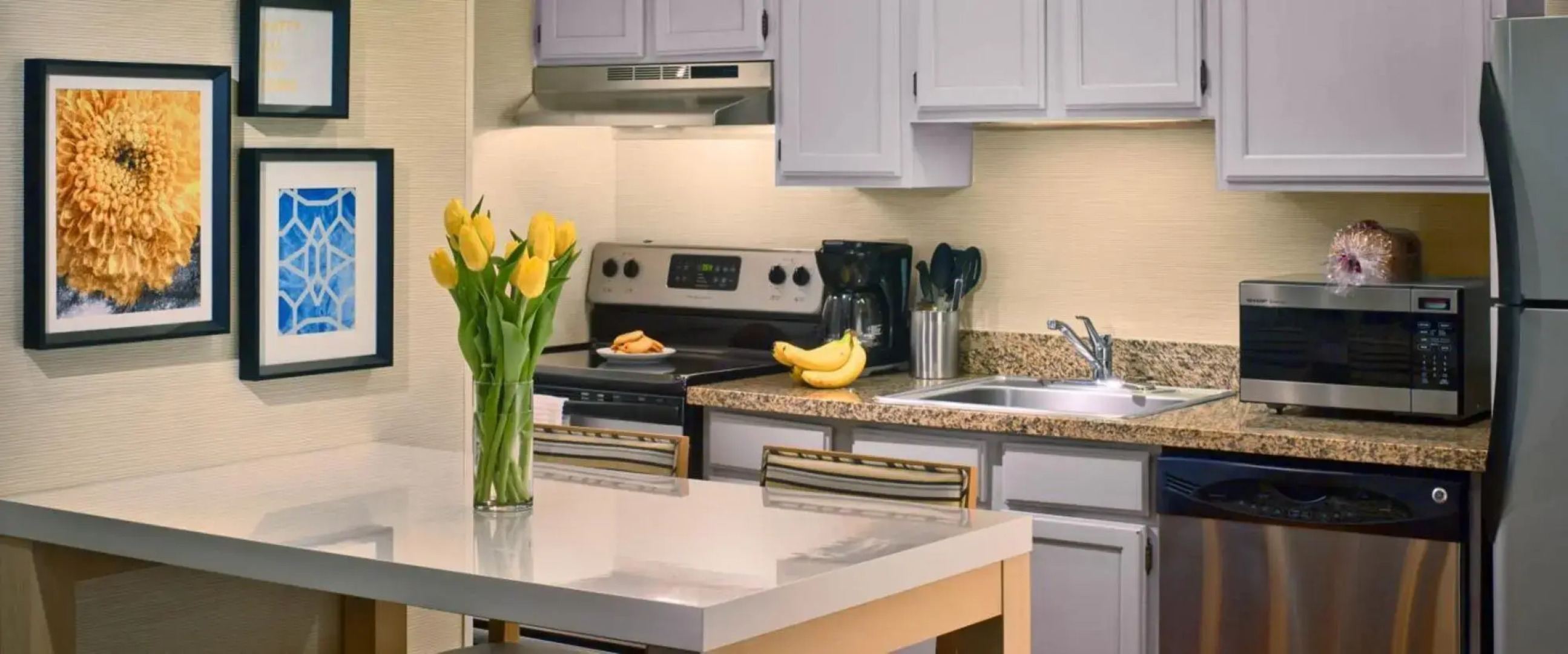 Sonesta ES Suites Ann Arbor