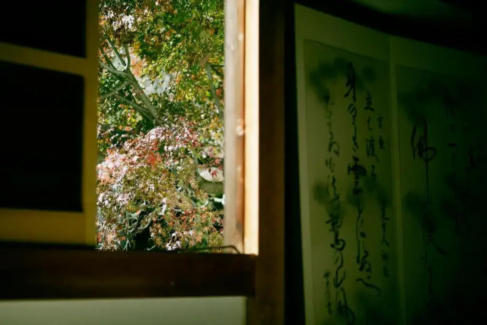 Temple Hotel Habanobo