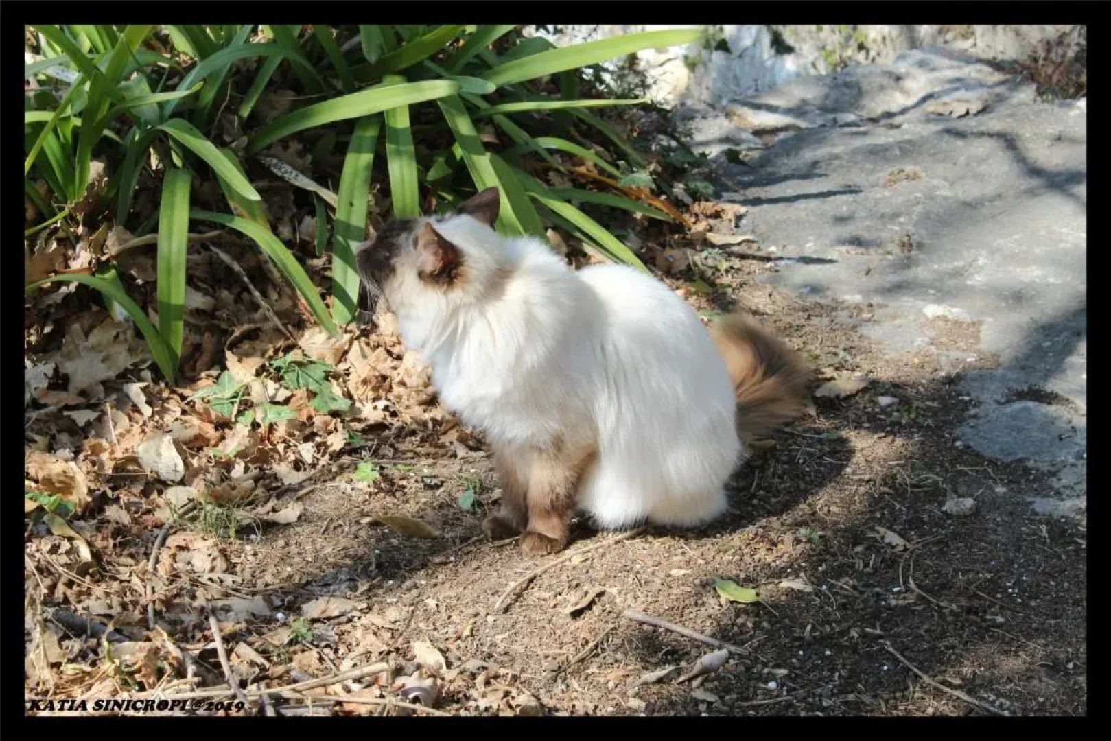 domaine des tilleuls d'or