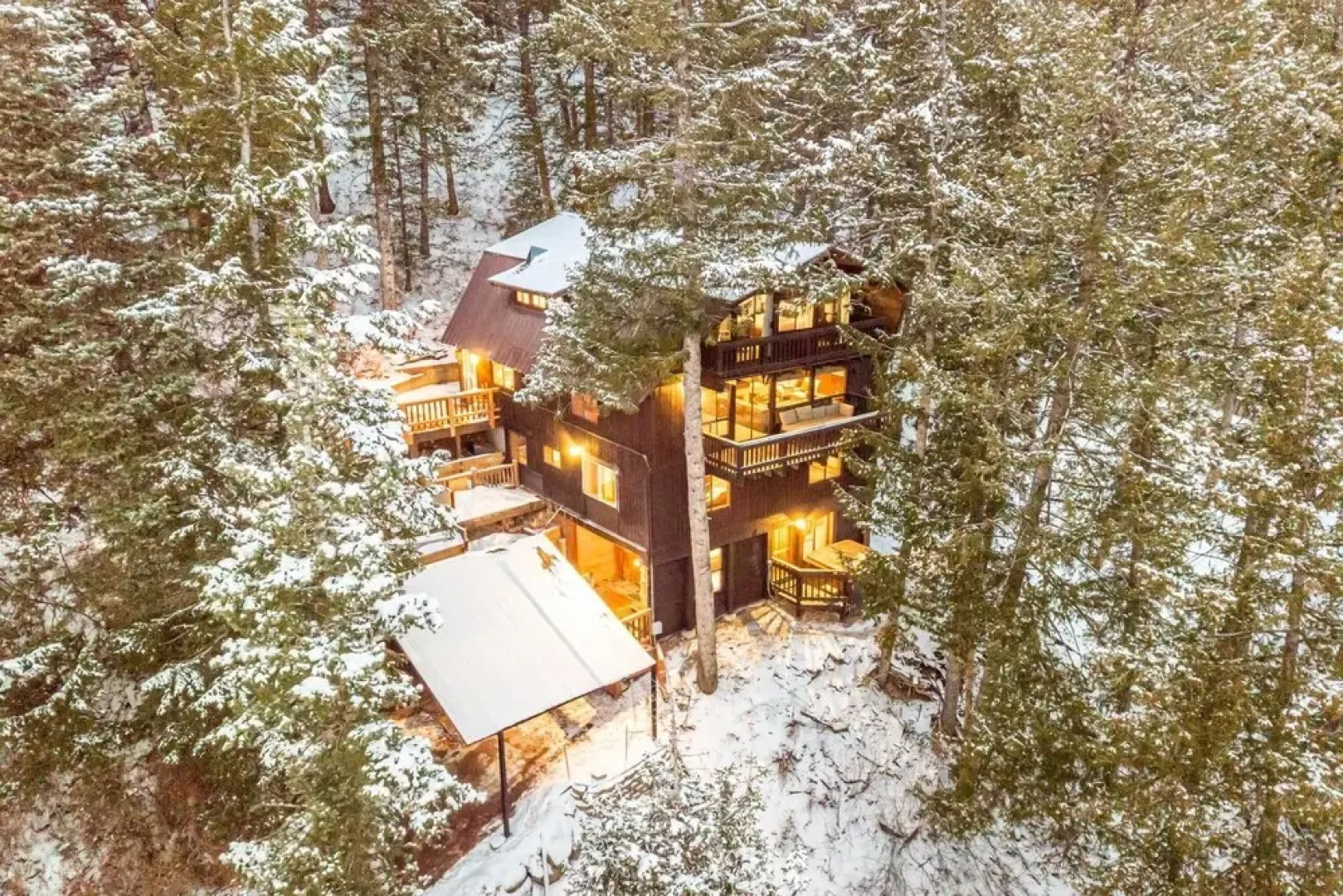 Upper Evergreen - Treetop