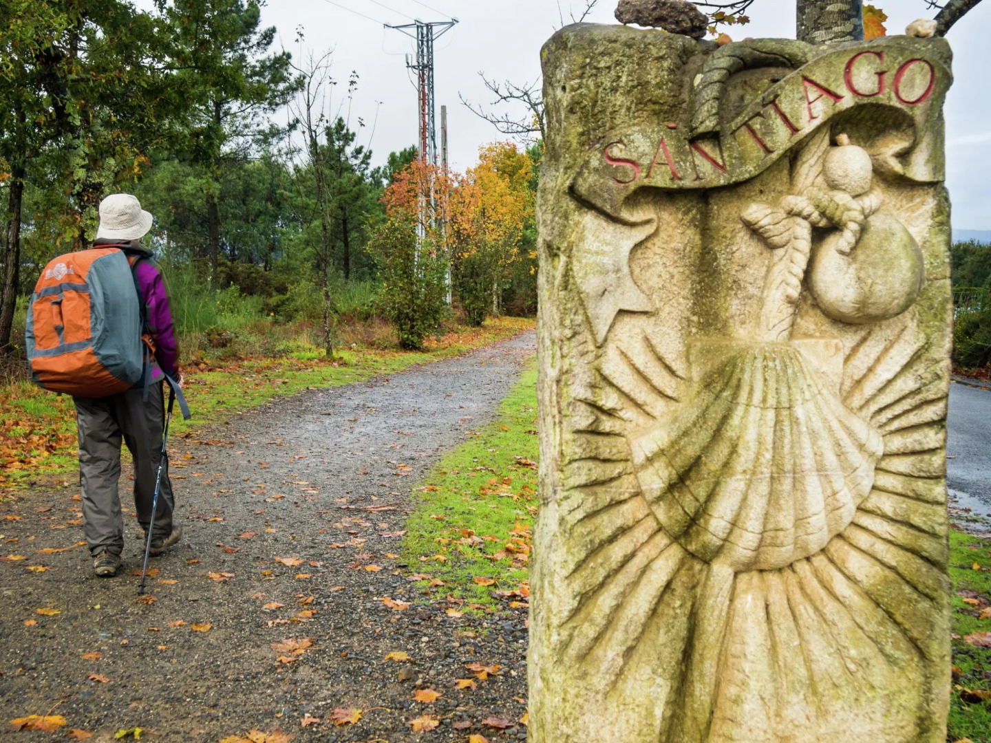 Detached Villa in a Beautiful Area