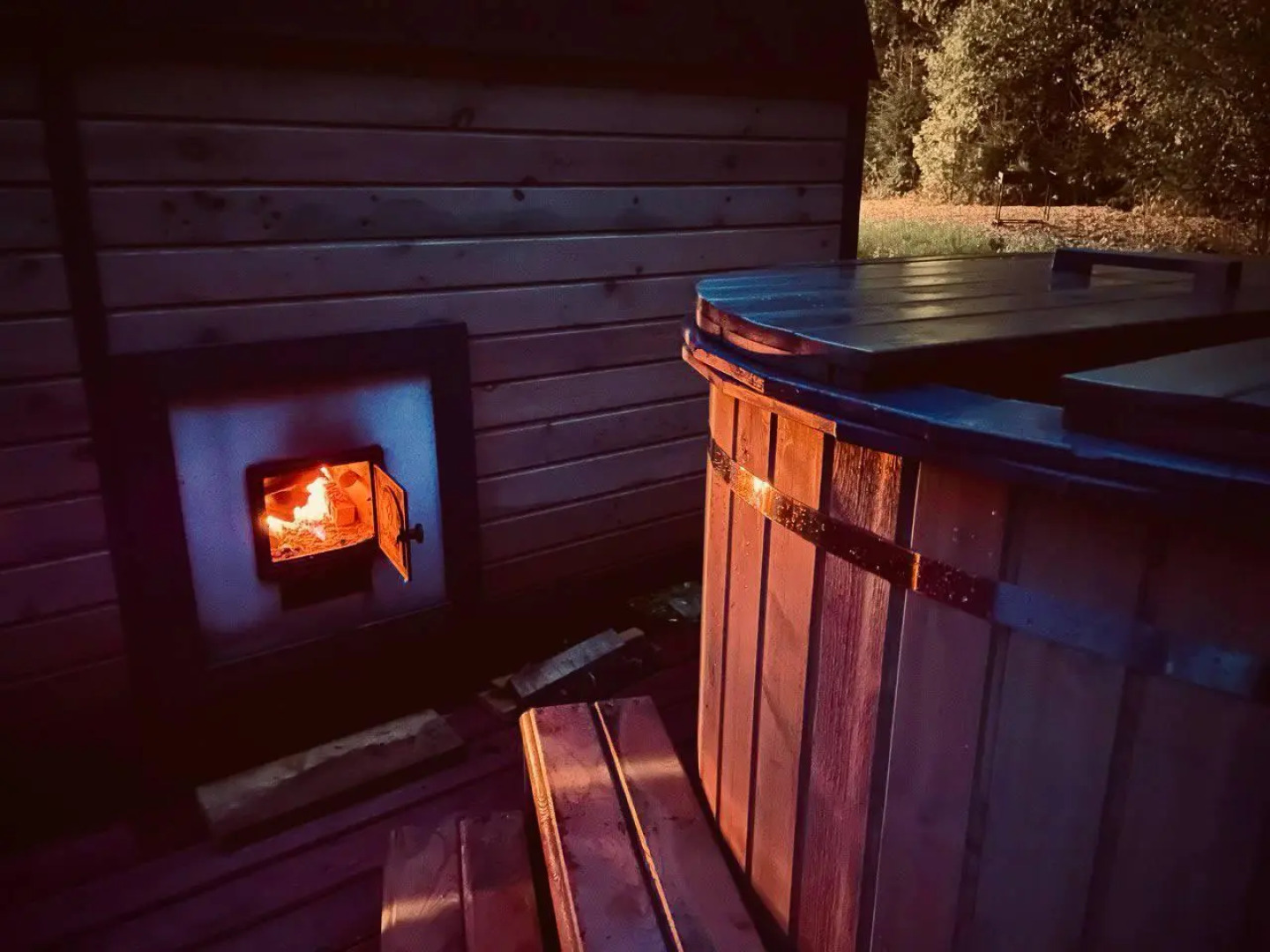 Pine Forest(Хвойный лес)