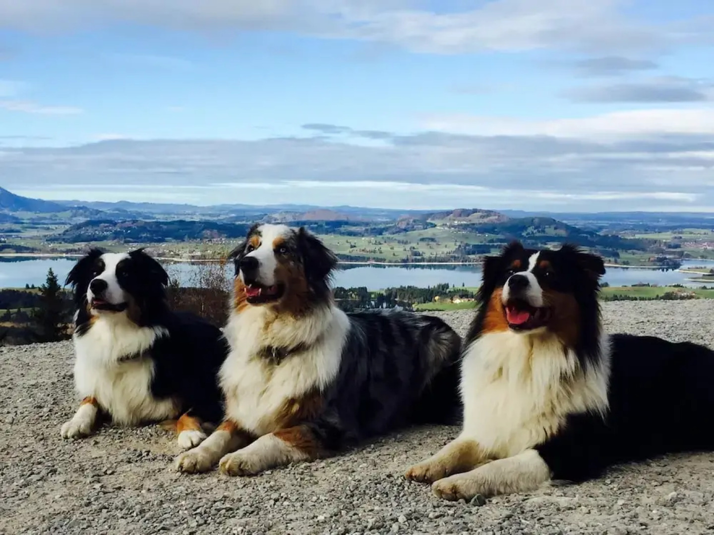 Aesthetic Apartment in Halblech Germany near Ski Area
