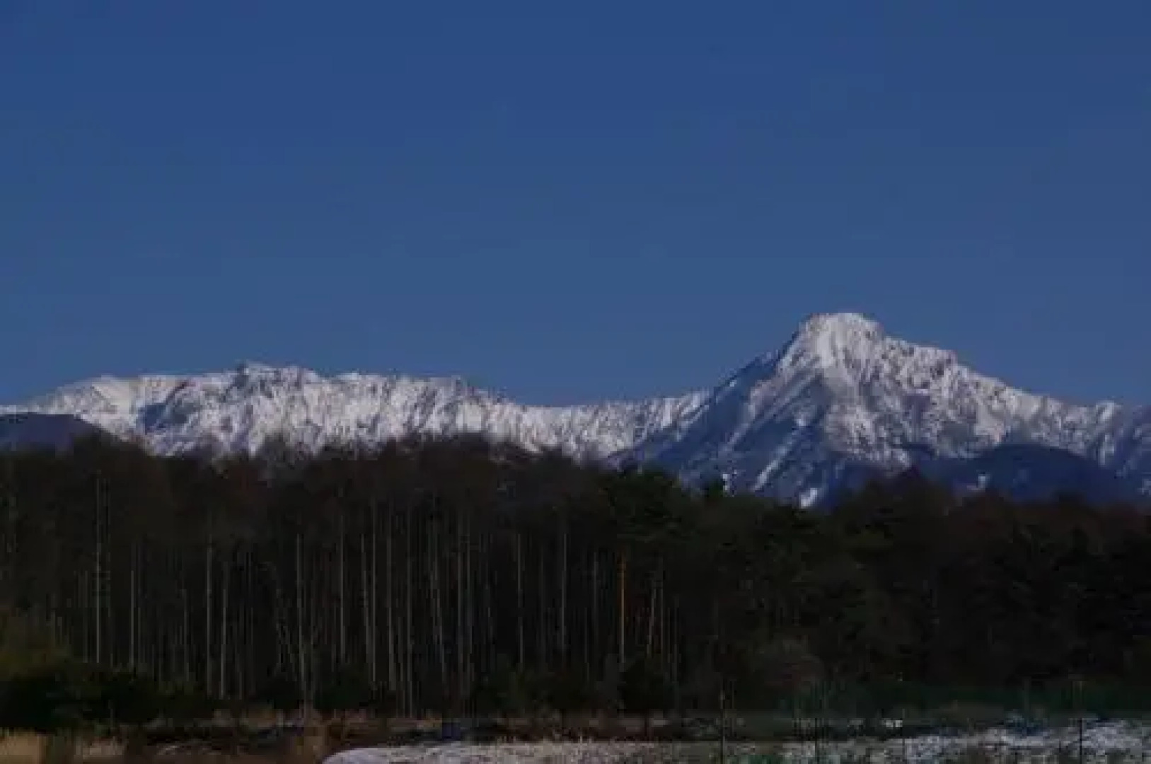 Petit Hotel of Log House Tombouctou
