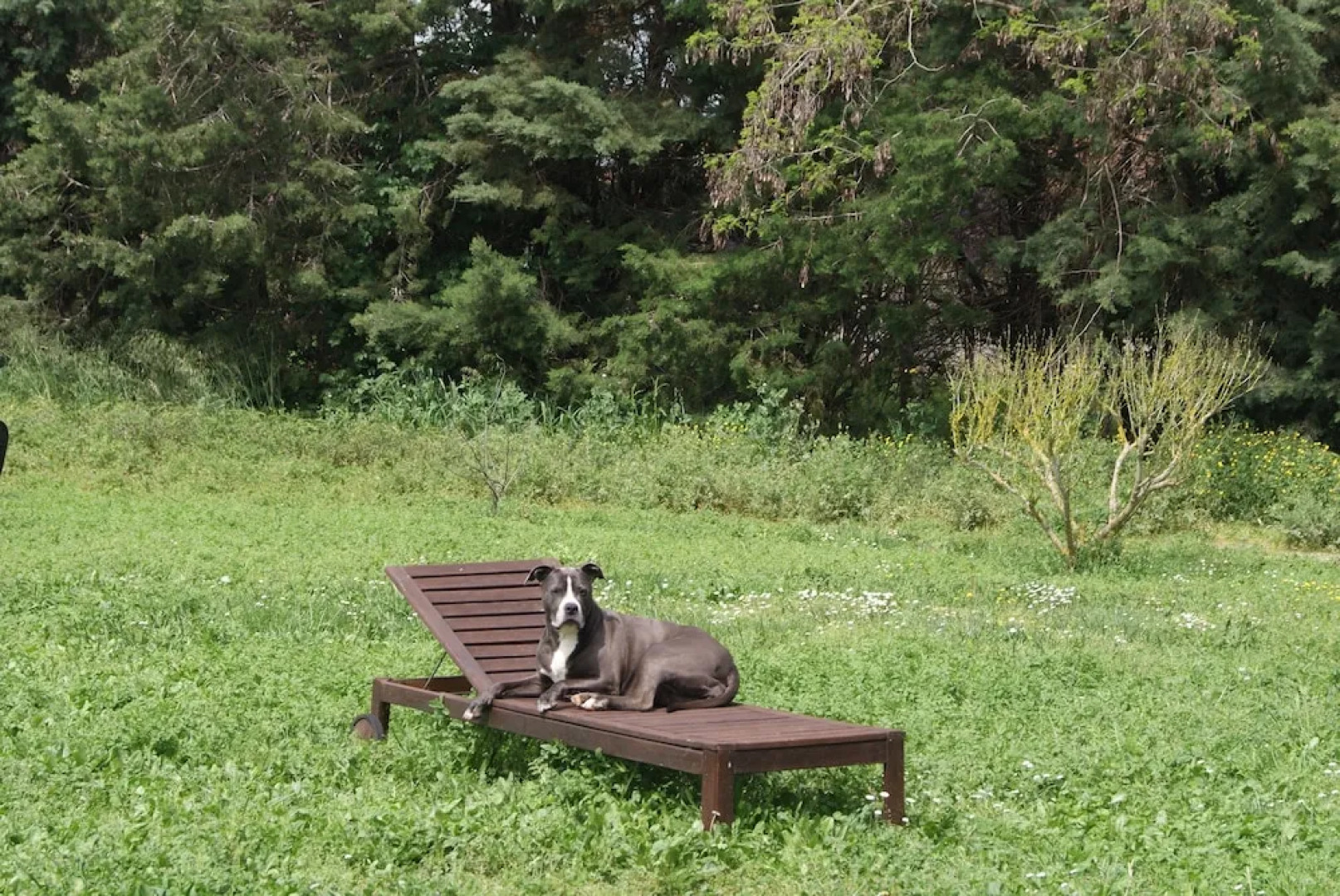 Locanda dei Cavalieri