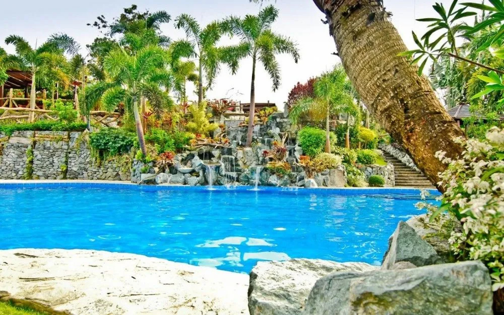 Cintai Coritos Garden