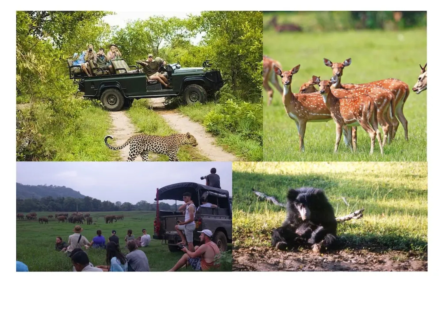 The Senaro Holiday Inn