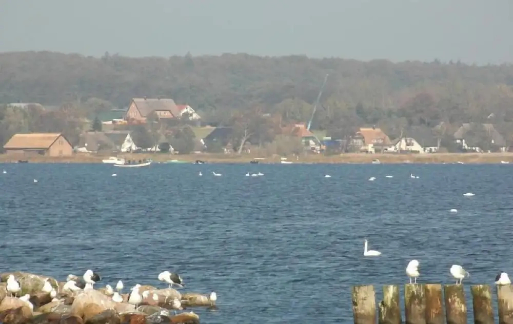 Pension Deichgraf Middelhagen
