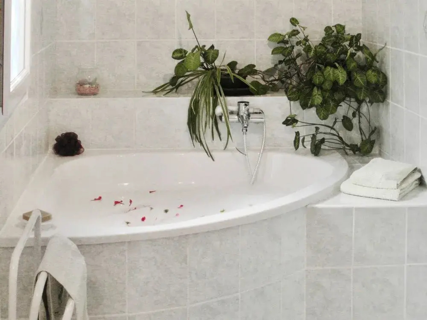 Apartment Ranocchietto