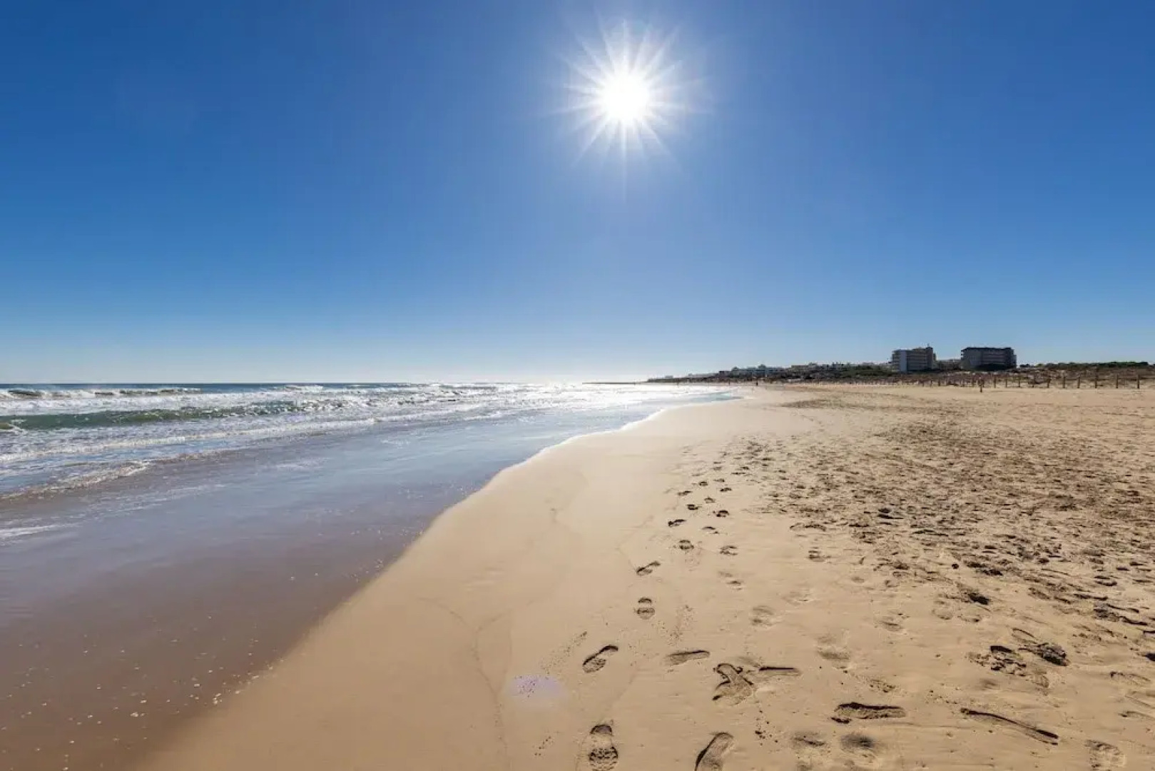 Coral Seashell Ground Floor by Fidalsa