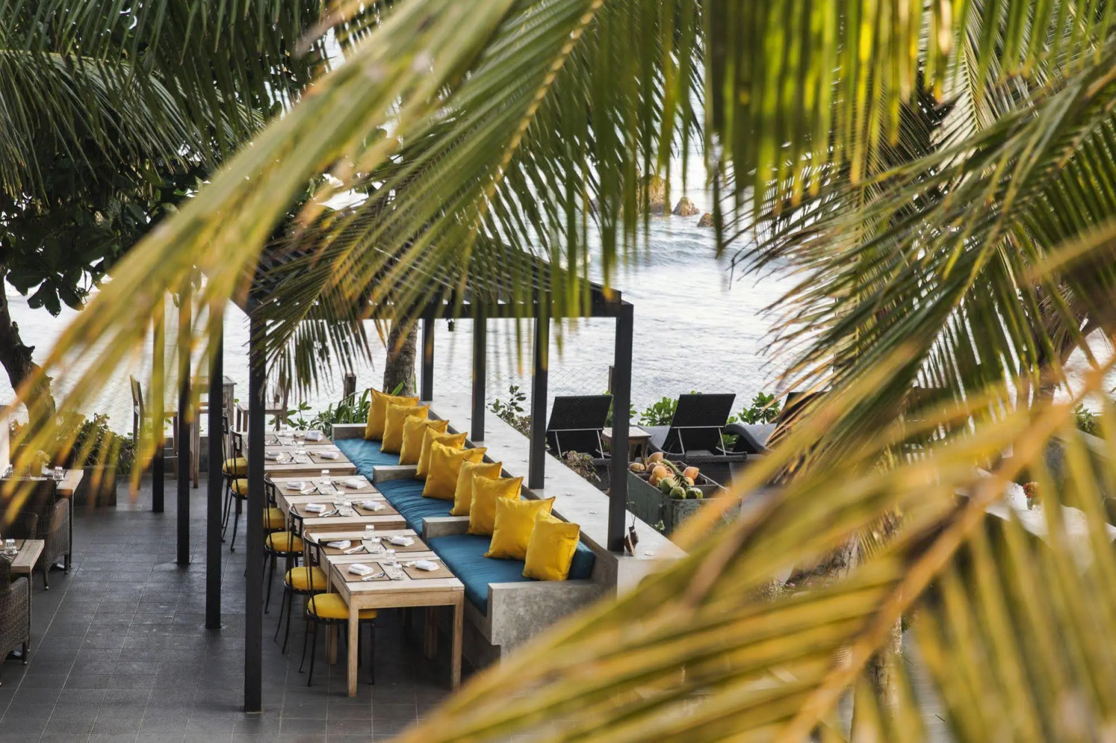 Owl and the Pussycat