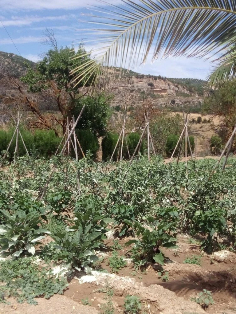 House With 3 Bedrooms in Alhama de Granada, With Wonderful Lake View,