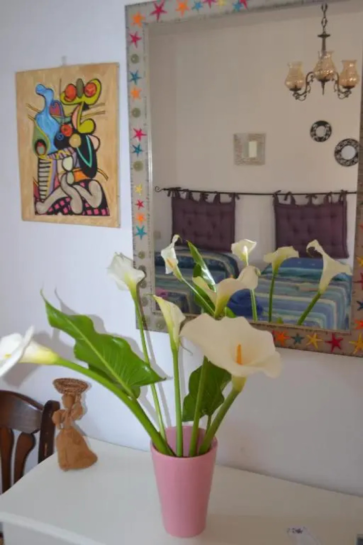 Bed and Breakfast Le Petunie