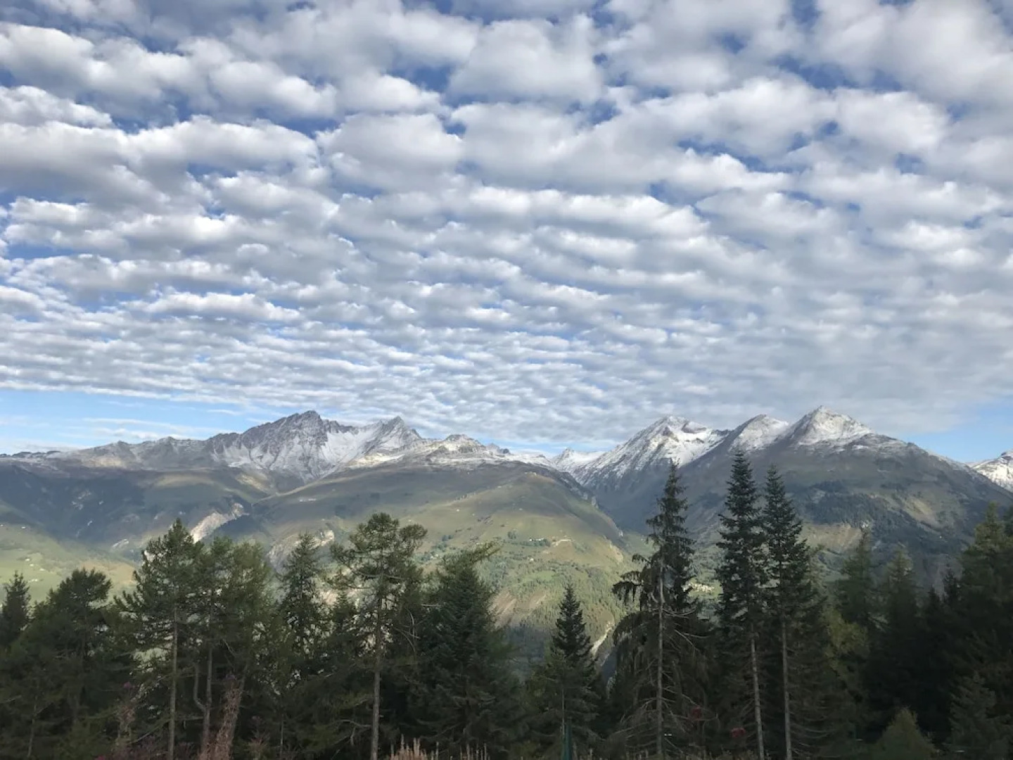 Yourtes Camping Le Reclus