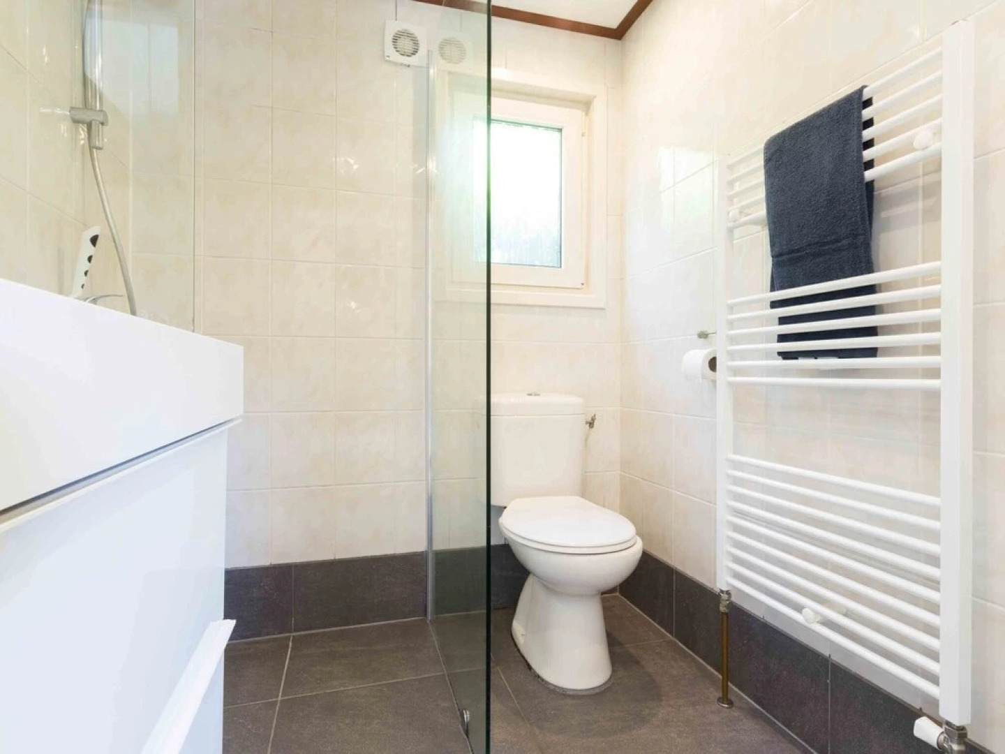 Comfortable Chalet sea at 3.5 km, in Egmond