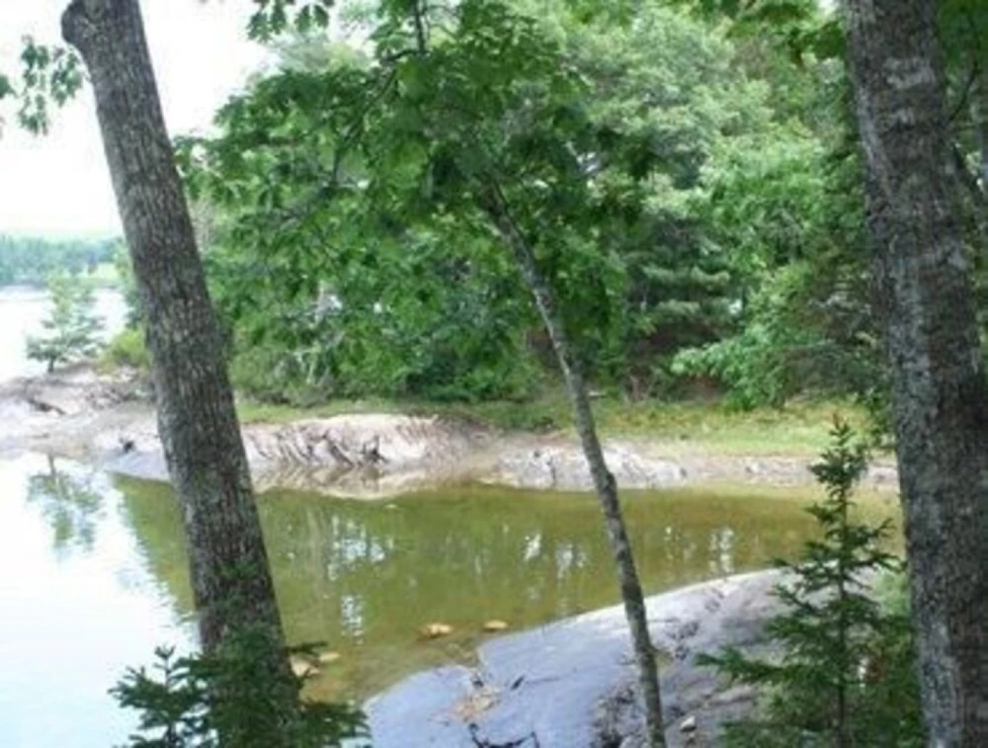 Bungalow - Three Bedroom Cottage