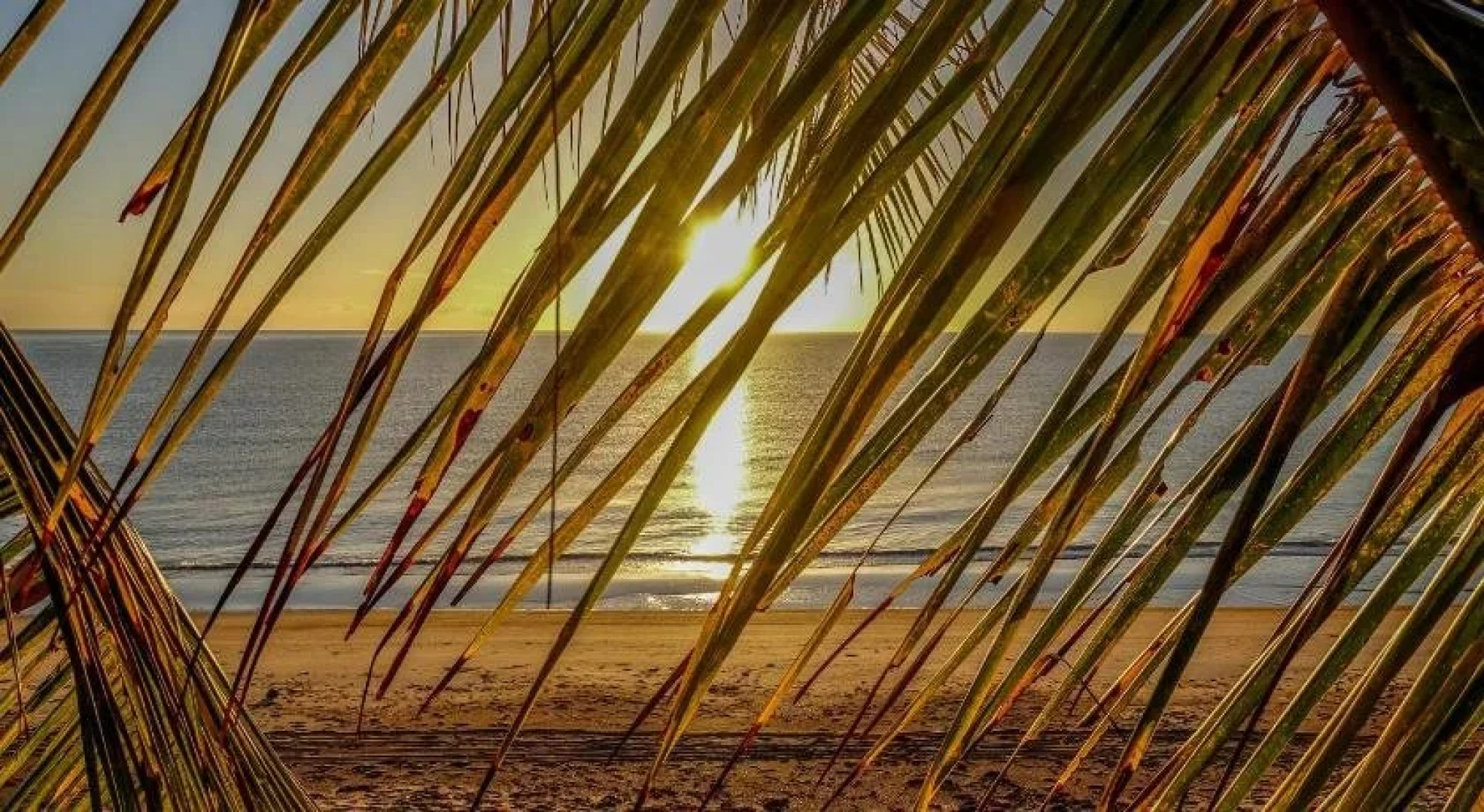 Pandanus Holiday Apartments