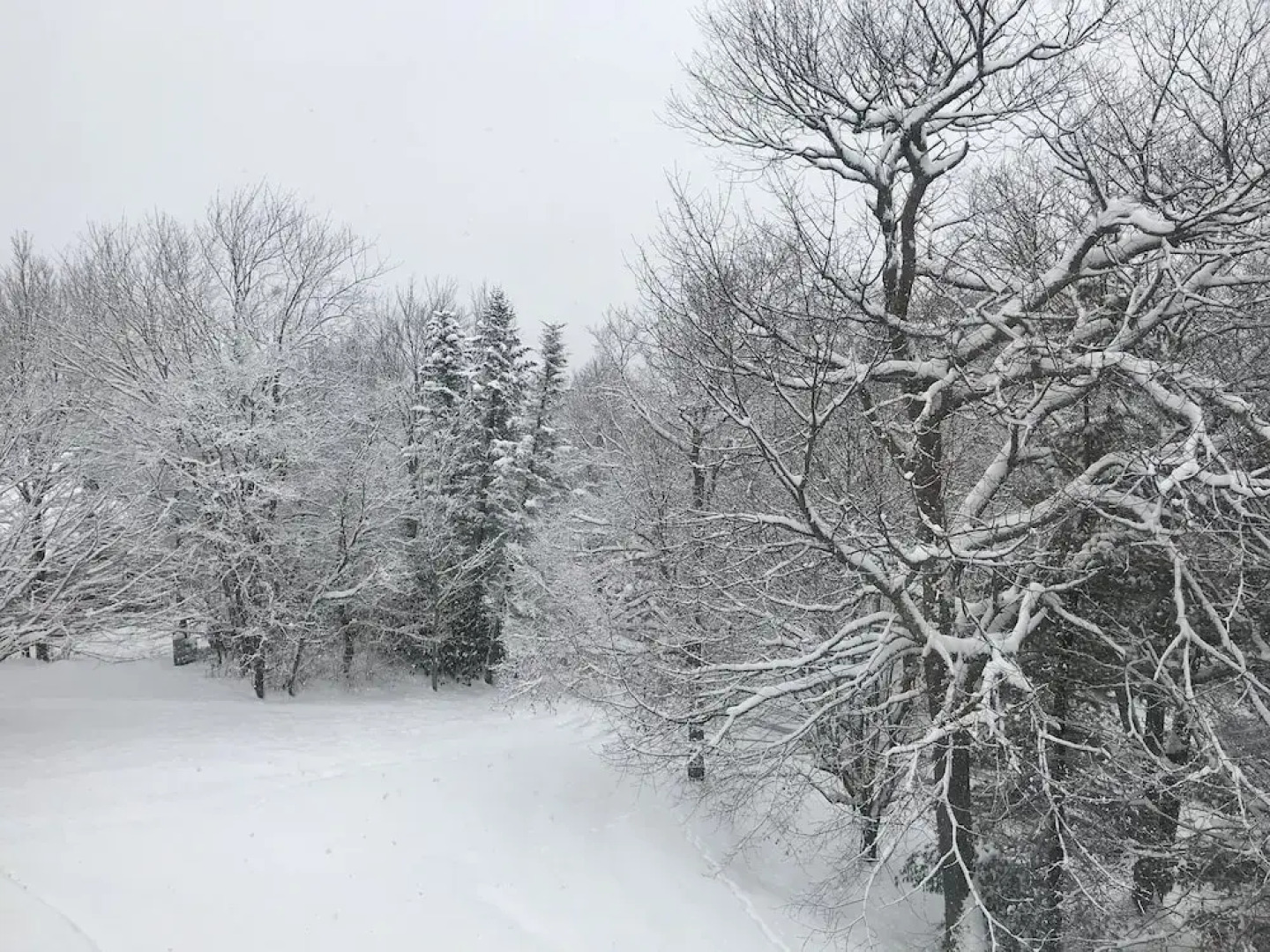 Skyleaf E_17 2 Bedroom Condo by RedAwning