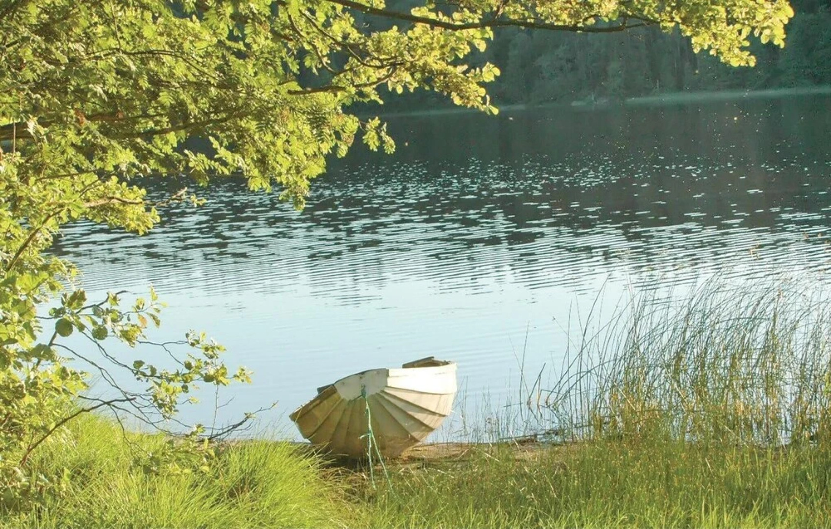 Amazing Home in Åsensbruk With 4 Bedrooms and Sauna