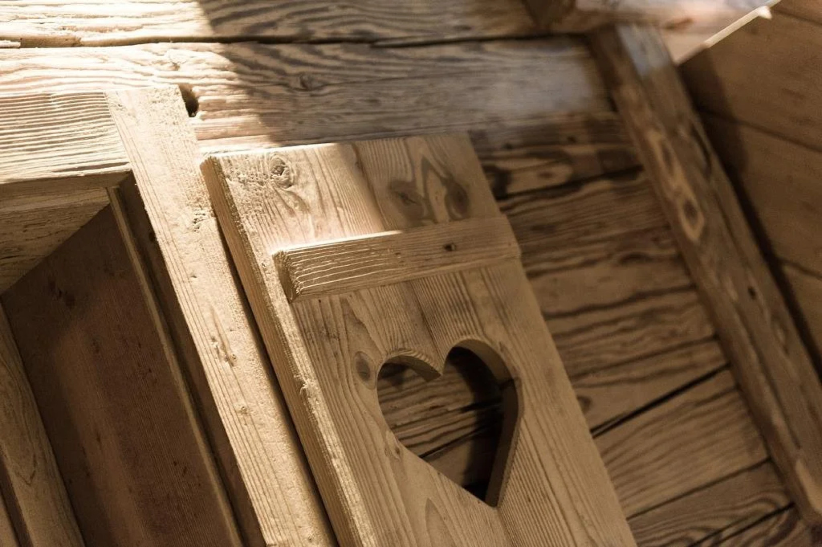 Hotel Alpina Wellness & Spa Resort