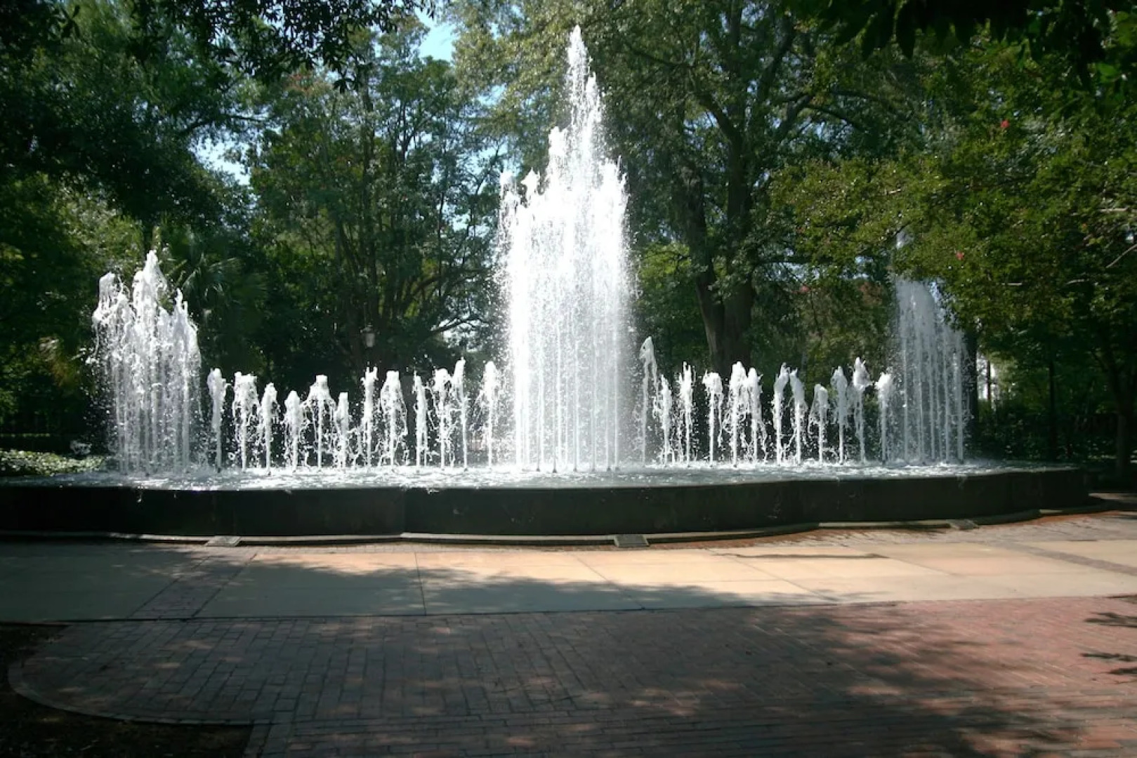 Hampton Inn Columbia I20 Clemson Road Hotel