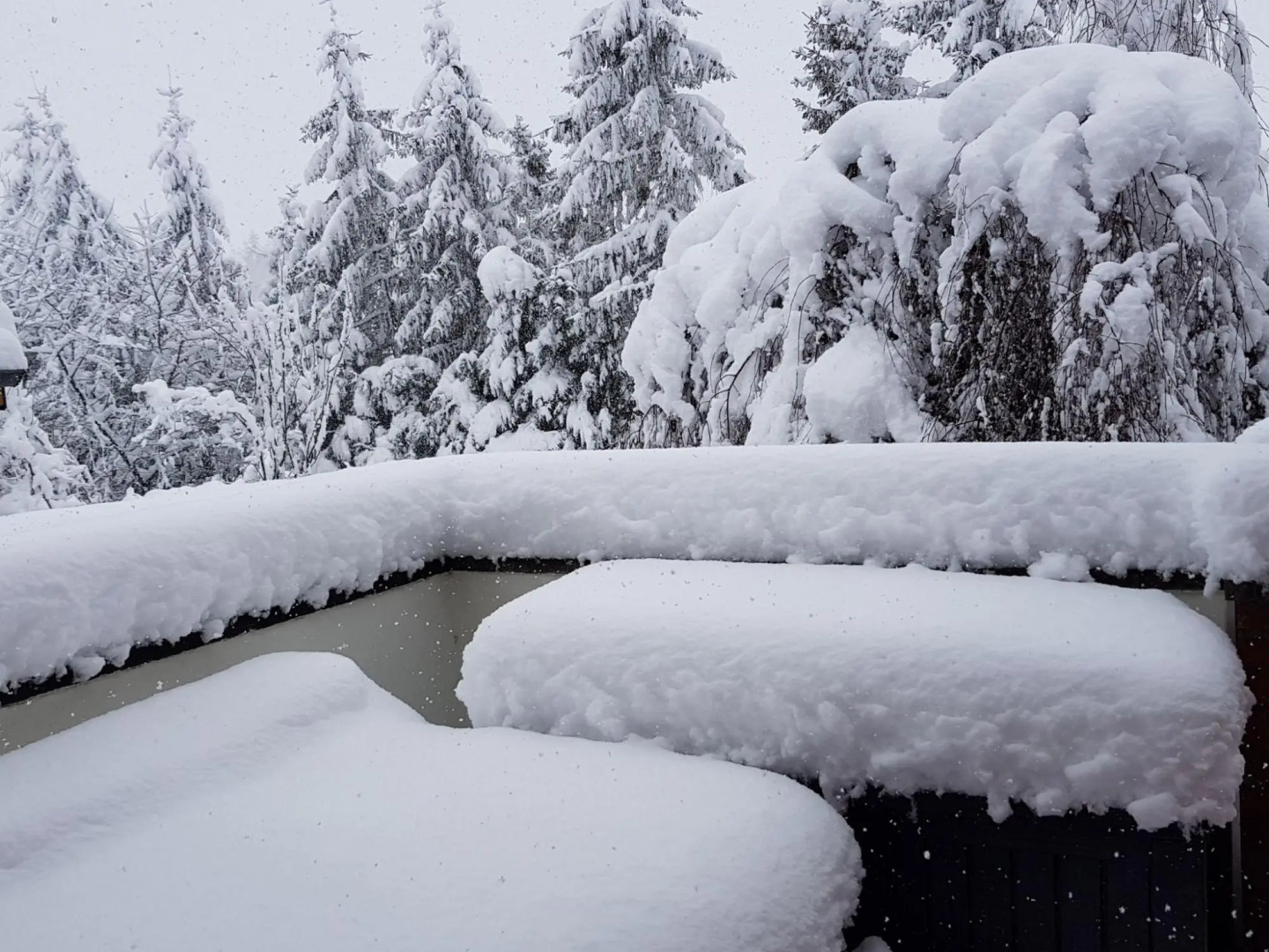 Wohnung bei Kuehlungsborn mit Garten