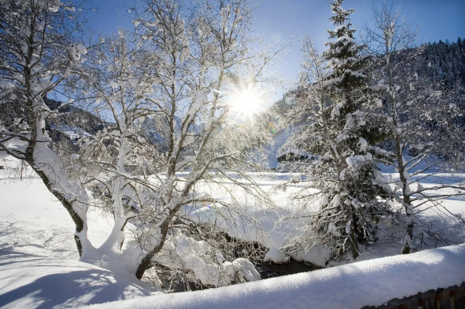 Traumhotel Alpina - Yoga & Ayurveda Adults only